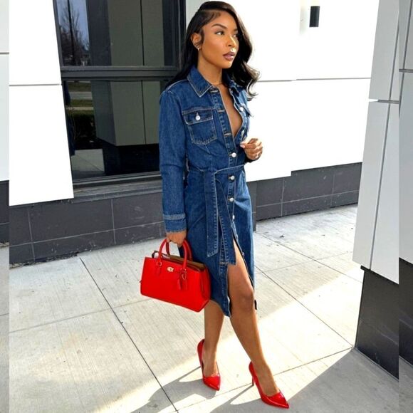 ZARA DENIM MIDI DRESS - Picture 2 of 15